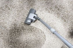 harringay carpet cleaning n4