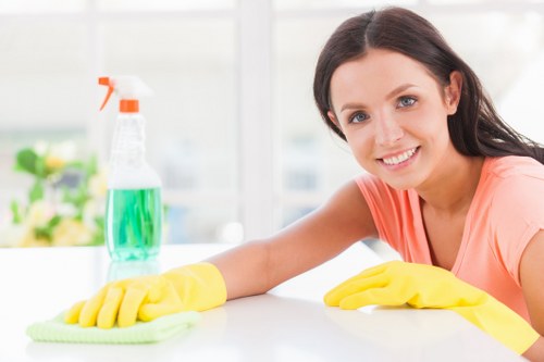 Cleaner preparing equipment with safety precautions in a home setting