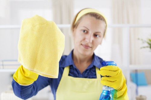 Harringay cleaning services for domestic and office spaces