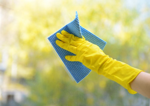 Professional carpet cleaning in Harringay living room