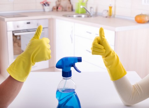 Carpet cleaning equipment used in Harringay home