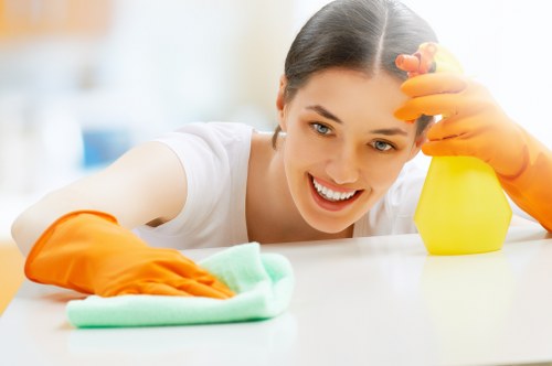 Confirmation of a cleaning appointment and service details