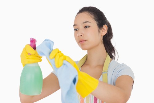 Local Harringay cleaner providing detailed property cleaning