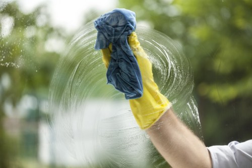 Carpet steam cleaning process in Harringay