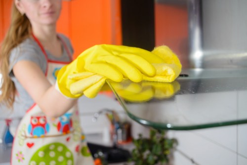 Deep upholstery cleaning equipment in Harringay home