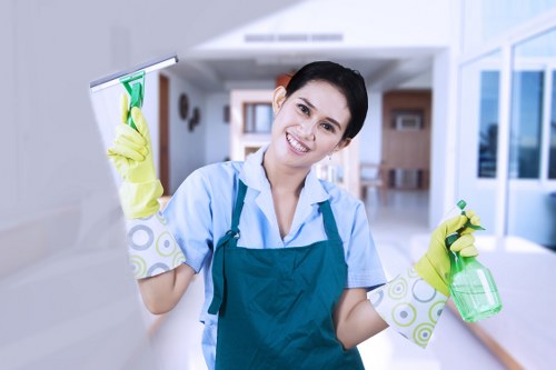Professional local cleaning service focused on quality and detail