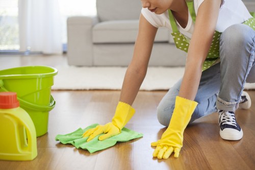 Deep cleaning upholstery in a Harringay living room