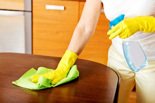 Bathroom deep cleaning in a Harringay property