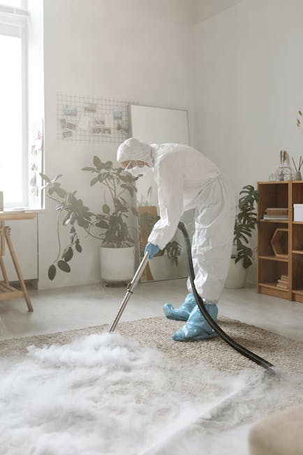 Carpet cleaning N4 common stains mistakes to avoid